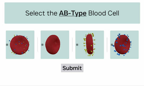 A sample multiple-choice question including 3D models